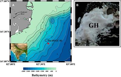 Magnetic Mineral Diagenesis in a Newly Discovered Active Cold Seep Site in the Bay of Bengal